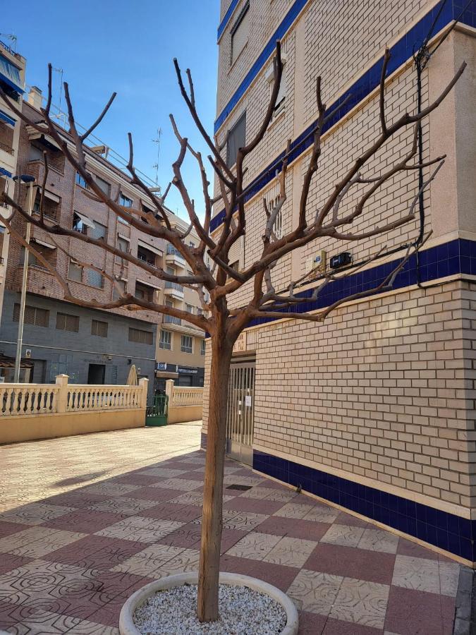Prachtig Gemoderniseerde Woning Op 250 Meter Van Het Strand サンタ・ポラ エクステリア 写真